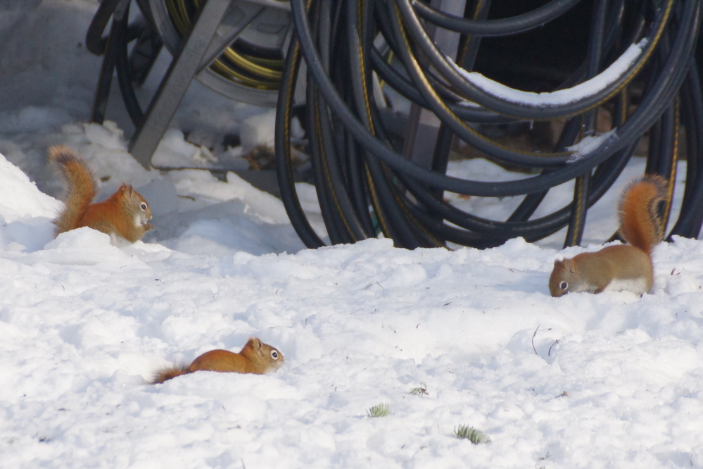 That may have turned out to be a mistake in that it attracted an entire gang of deplorables.