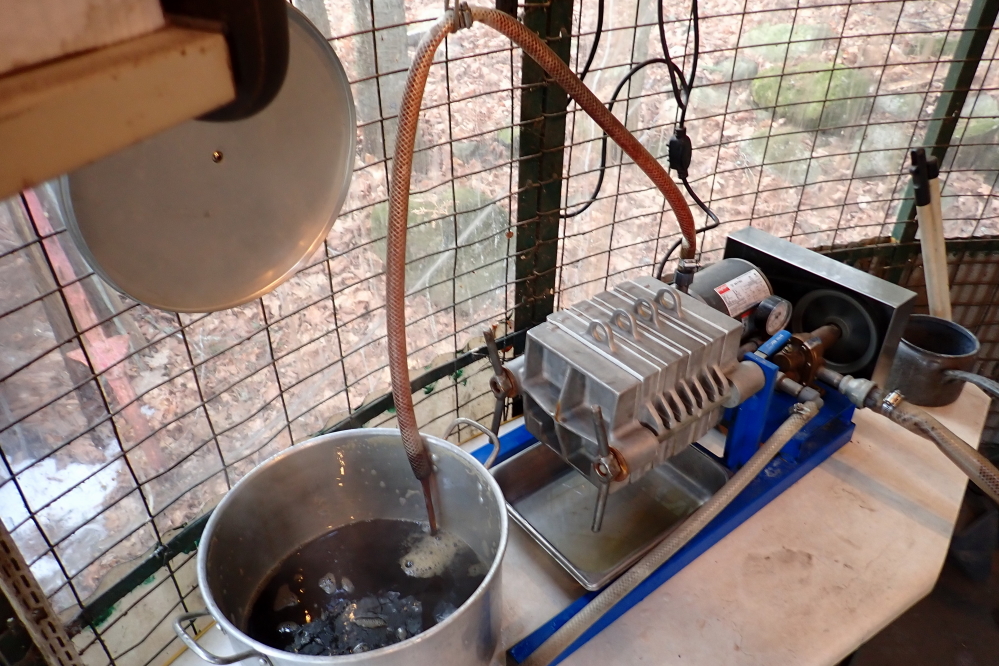 Late season syrup is darker than the early season stuff. This year's sweetness was no exception.