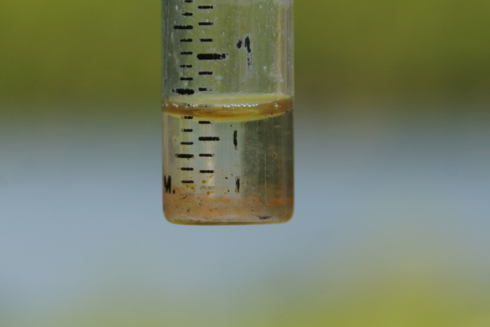 At the start of the week we got a rare (for last week) hot day and about a third of an inch of rain.