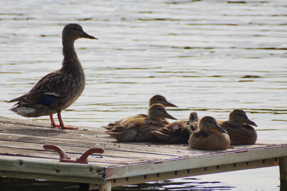Others solemnized the storms with a more low key sit in.