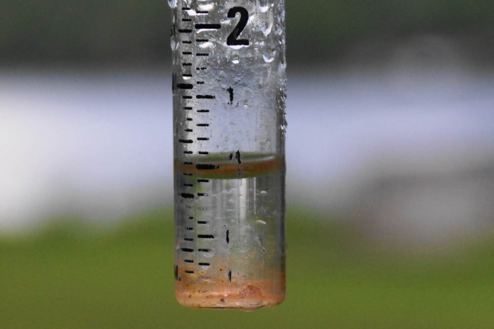 At the end of the week we got drenched with an inch of thundery wetness.