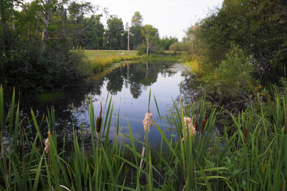 The NCC golf course is in great shape. The fairways have fewer divots than usual for this time of year and the water hazards have been topped off.