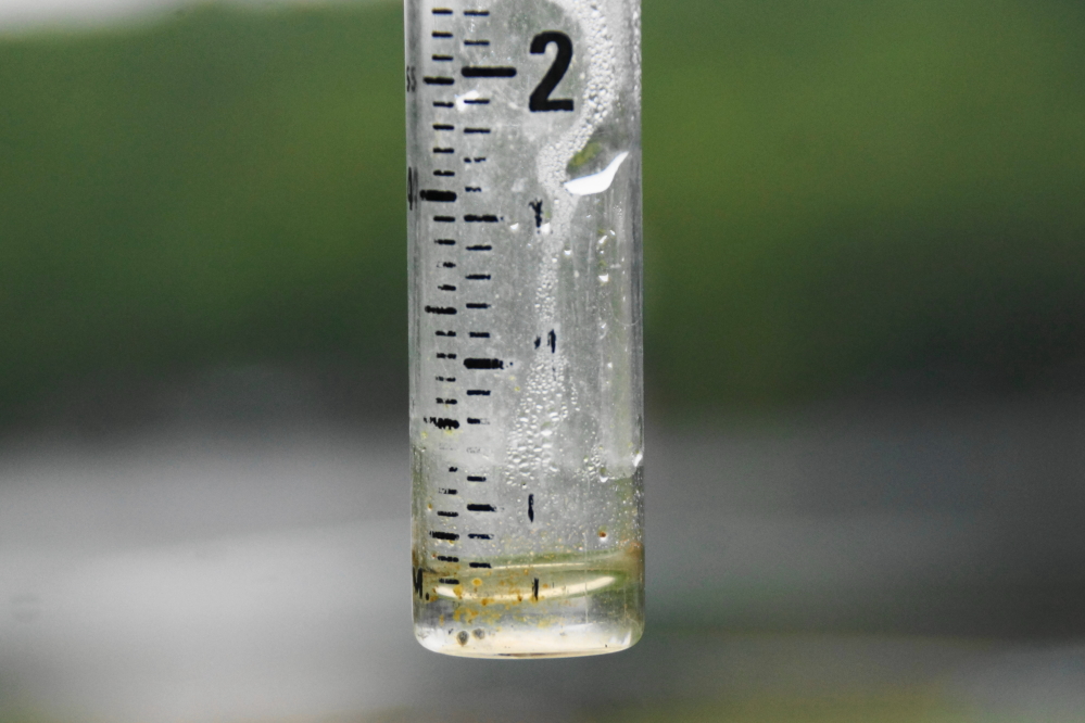 We also got some rain. A few tenths of an inch early in the week, and almost a half an inch later on. We need more.