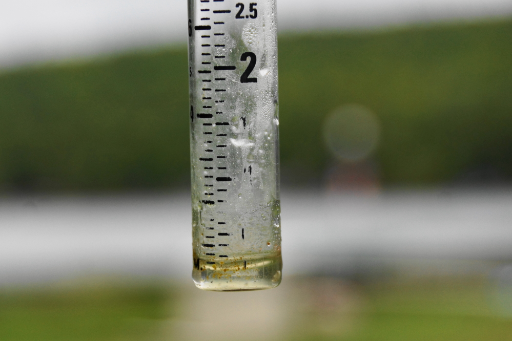 Before it got hot, there was some rain. We needed more, but what can you do?