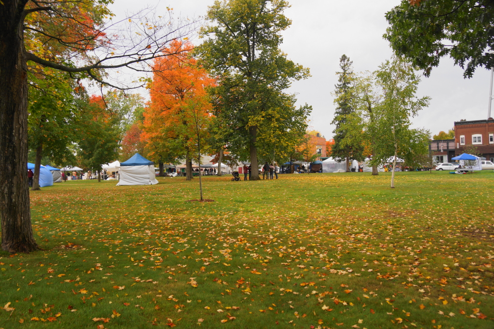 On Saturday last week, the annual "Art in the Square" event was held in Crandon.