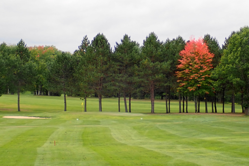 Near the end of the week, it was easier to pick out the maple among the pines.
