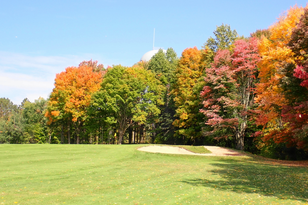 Not all the trees are in full color. I'd estimate we are currently at 50%.