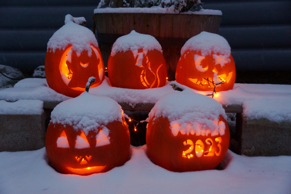 The cold last week was like a big bowl of ice-cream for those that enjoy that sort of thing. The snow was the cherry on top.