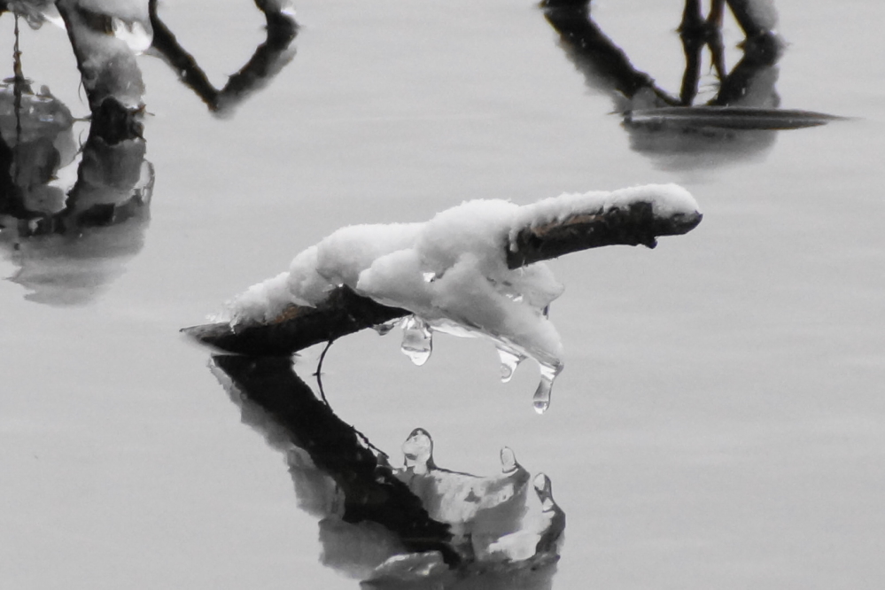 All the lake ended up with was some cold detritus clinging to sticks near the shoreline.
