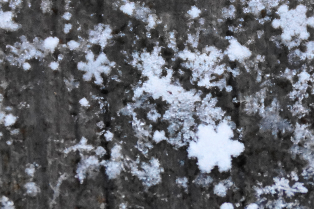A dusting of well formed snow flakes made detecting the open water much easier.