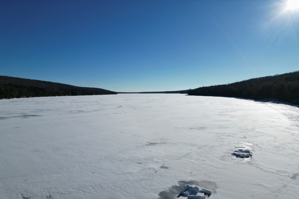 The sun came out for the first time in like forever on Sunday. It made the air feel warmer than it really was.