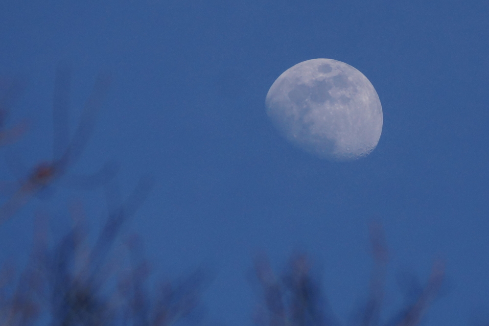 Most nights were clear and well lit by a moon that fulled out on Saturday.