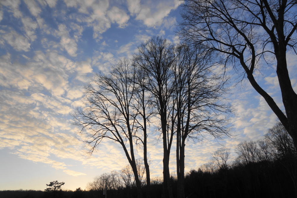 From Wednesday to Thursday, the temperature dropped 50°F. Then the sky cleared and we lost another 10°F by Friday morning.
