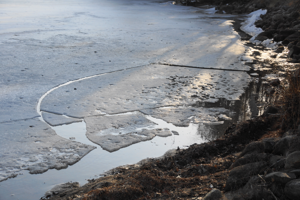 With the littoral areas of Lucerne rapidly deteriorating, getting out onto the ice may not be unsoakerly possible unless we get another dreaded cold snap.