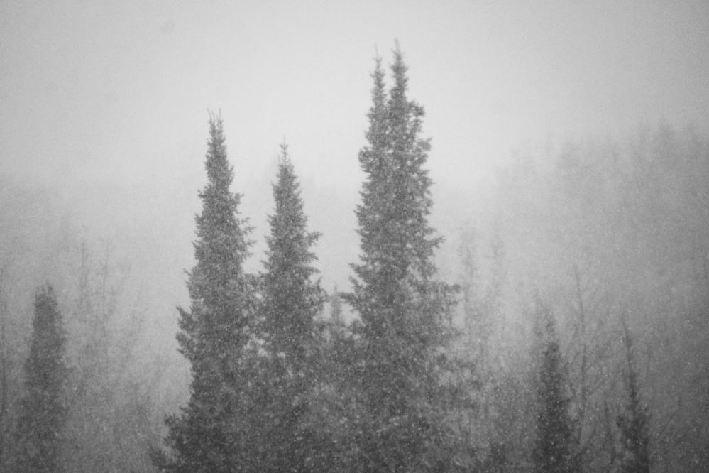 Before sunset, it started to snow harder.