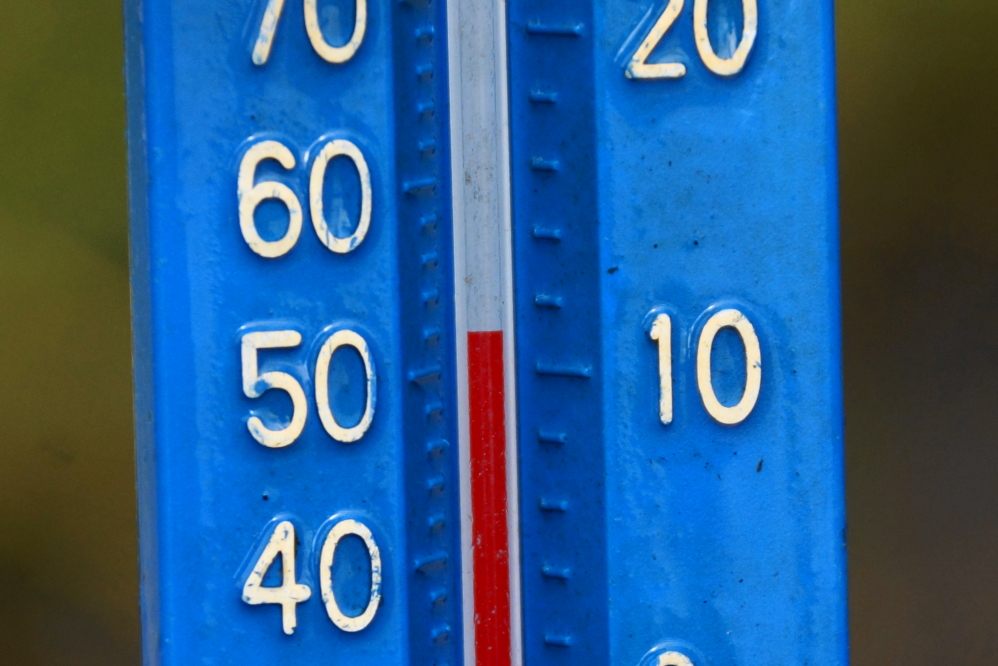 The water temperature held at around 52°F all week.