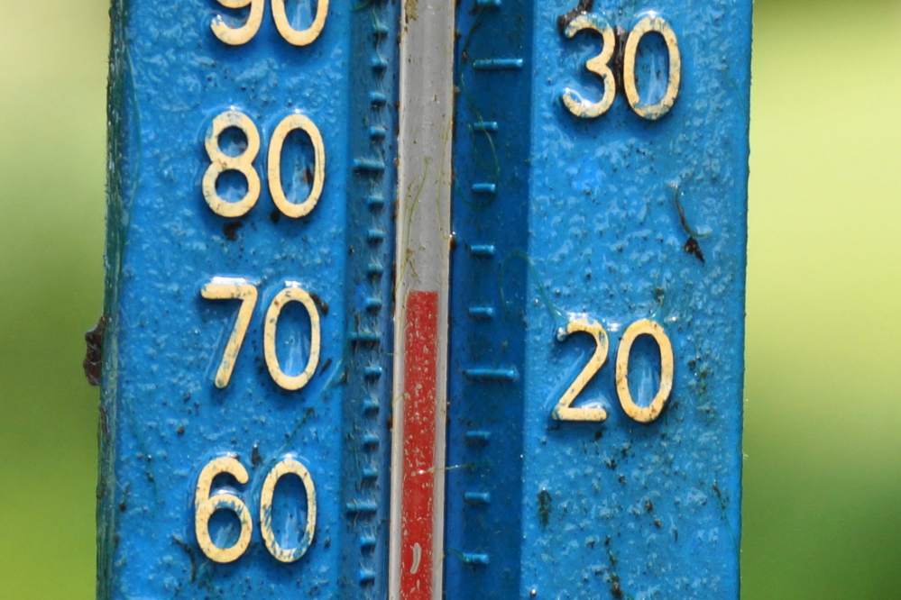 On Sunday, the lake temperature climbed to 73°F, reducing the shivering and bluish hue of many swimmers.