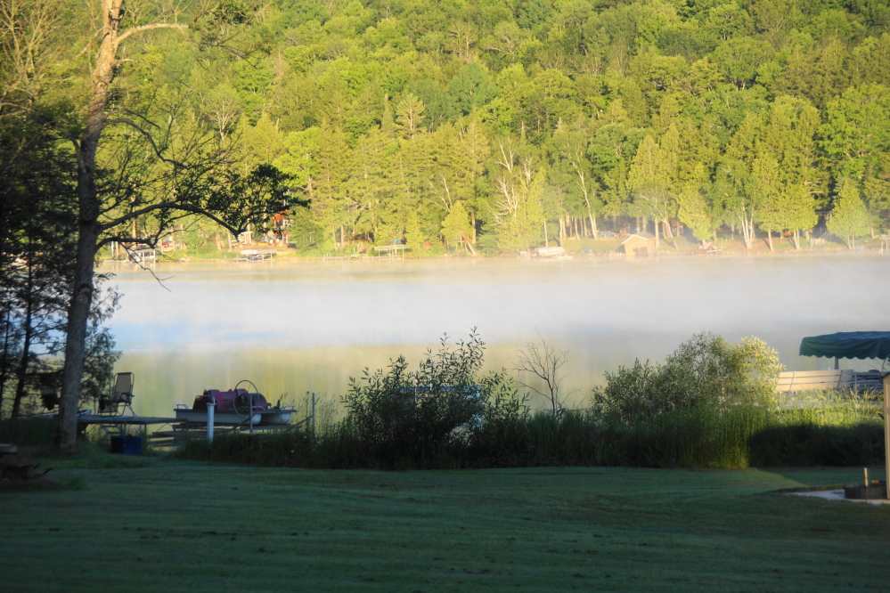 The week started off cold. Lucerne steamed in the 42°F morning air. Mosquitoes were not happy. It got warmer as the week ripened.