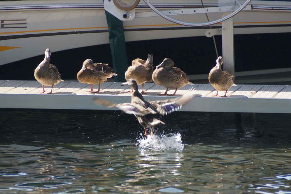Lake Lucerne