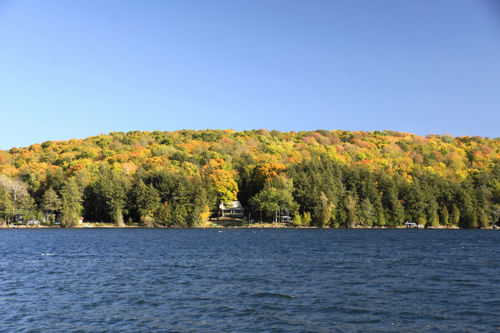 The color in the trees peaked last weekend. It was a strange peak. Most of the trees were decked out in reds, yellows and gold, but some still held onto shades of green and still others were leafless.