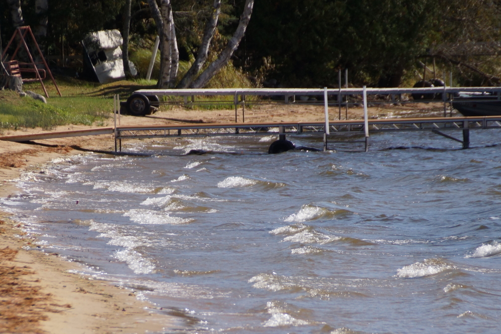 Other days had strong winds that made waves big enough for local squirrels to grab their little surfboards and ride the big breakers to the sandy beaches of the north end.