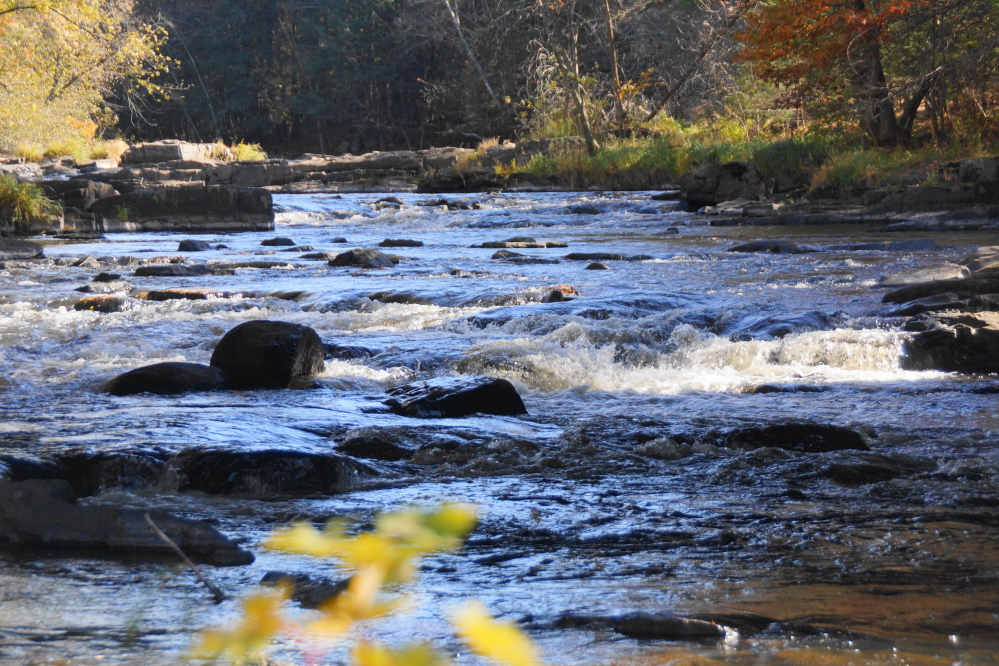 There was plenty of water in the river. It was a kayaker's dream or nightmare depending on their skill level.