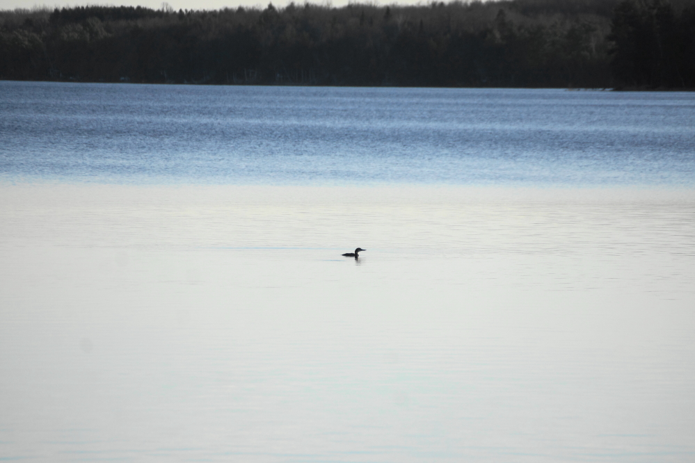 We're not sure if the fish were still biting last week. We saw only one lone fisherperson on the north end of the lake.
