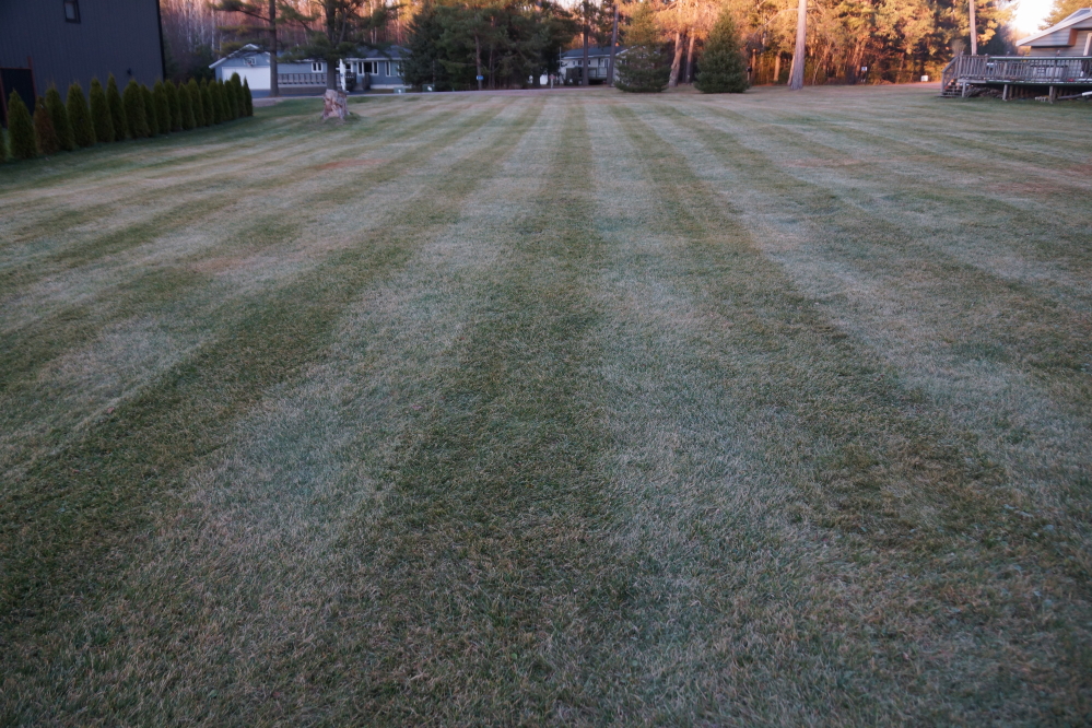 By the week's end, all agreed it was time to lower the mower deck and get in the last grass cutting of the year.