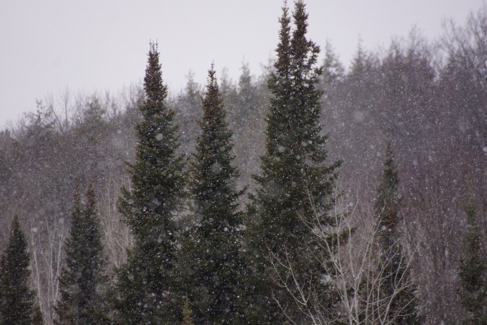 The temperature dropped. The snow started on Wednesday.