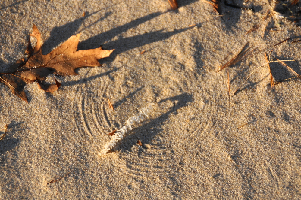 The start of the week continued the snowless trend. The dryness, wind, and sand produced rare beach circles around detritus that was anchored on one end.