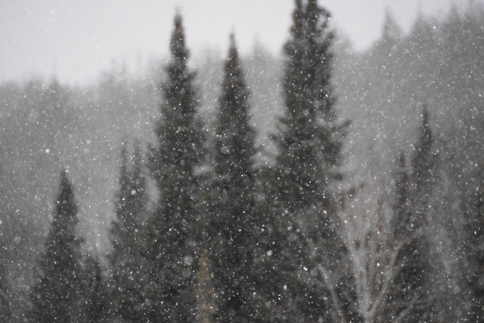 Just before last week's celebrated warm bump, it snowed. We ended up with around 2 inches. We need more.