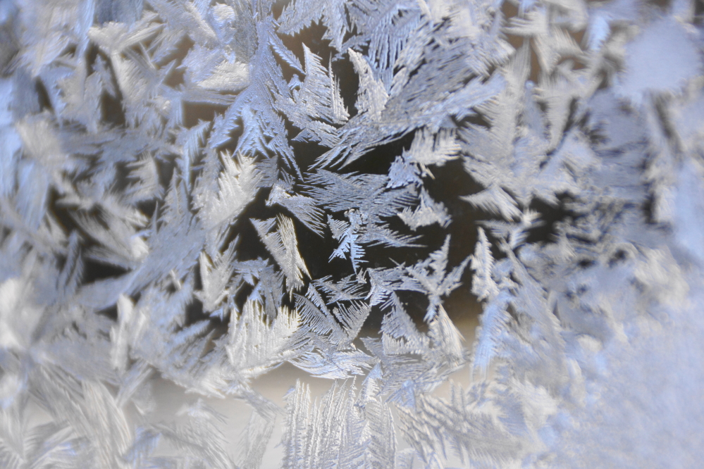 Late in the weekend came winter's denouement. Its sub-zero-ness garnished some of the Bar's less energy efficent windows with icy fractals of frost.