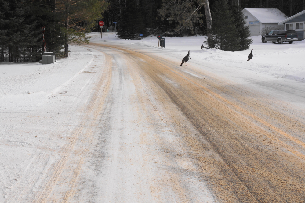 The bone chilling cold, light snows, and traffic have added a nice ice layer to Potawatomi Trail.