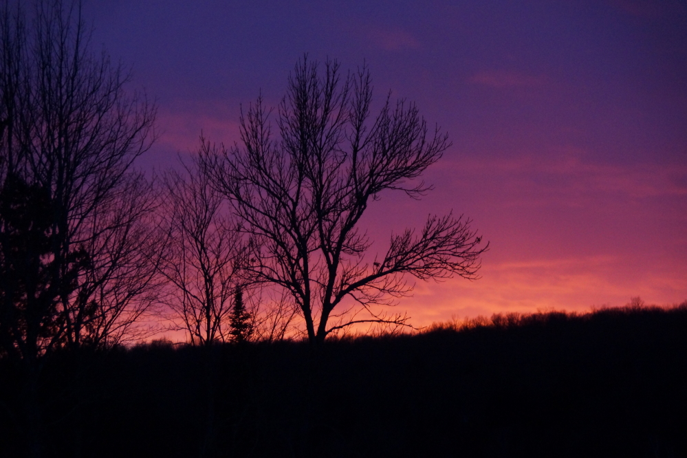 Most sunsets last week were boring, but one splashed fire across the sky for a good 5 minutes.