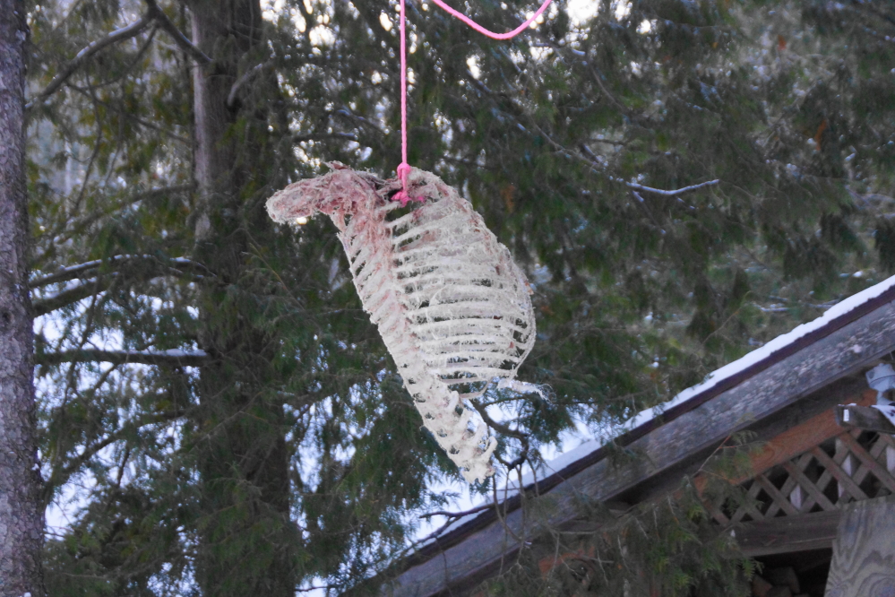 It was noted that the deer shaped suet feeder on Knott Lane is getting pretty empty.