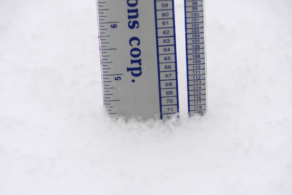 It got a little warmer on the weekend. Along with the warmth came 4 inches of fluffy snow.