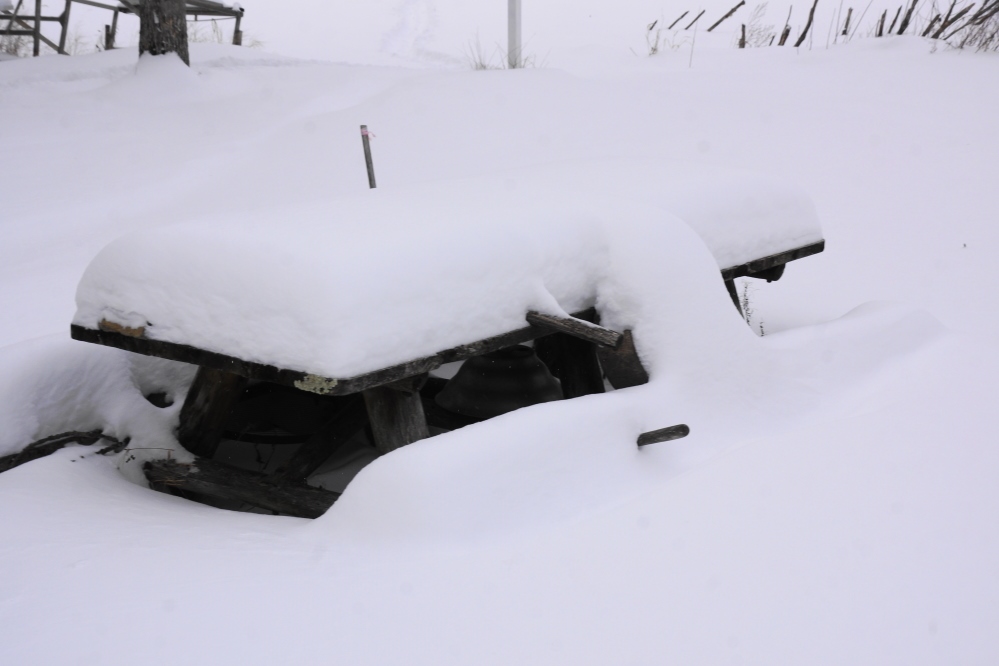 We have not had a major snow event (8+ inches) this year, but the little ones are adding up.