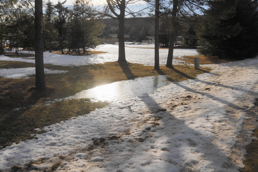The cold hit hard just before the weekend. Thaw induced lawn puddles were transformed into slabs of ice.