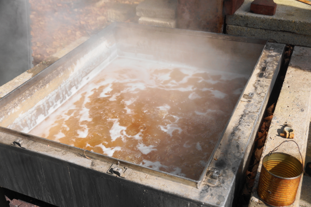 Less than 48 hours from trucking it out of the hills, the contents of the auxiliary pan was added to the finishing pan.
