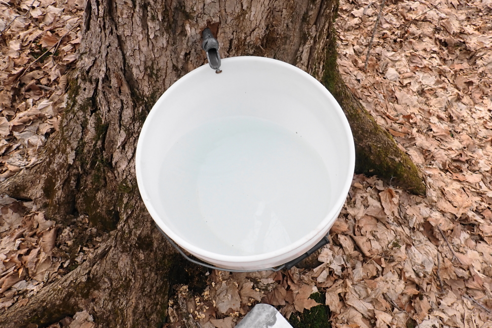 Many of the buckets were half full.