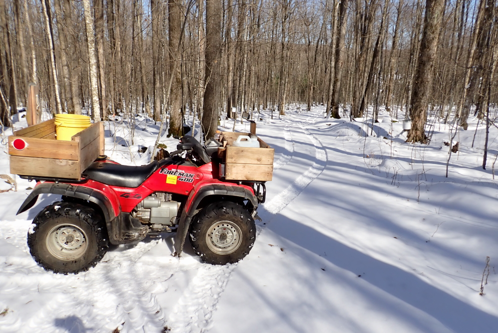 The footing in the woods got worse, but the men were rallied to collect the pre-beard drippings.