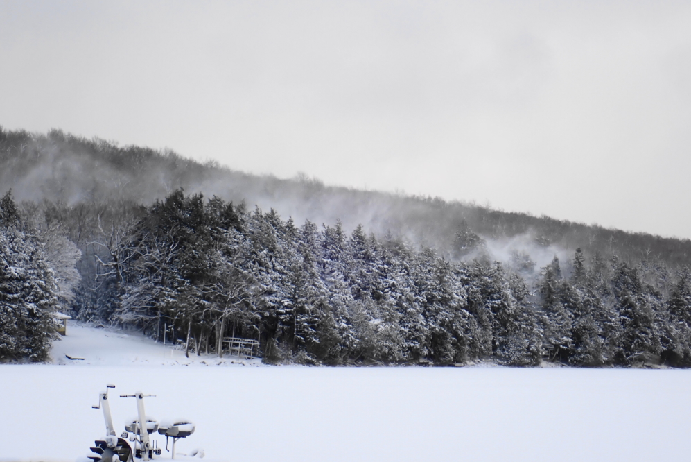 The wind at the start of the week dropped winter detritus on the heads of anyone under the pines around Lucerne.