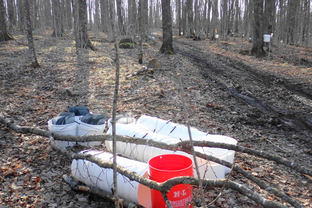 Pulling taps, buckets, and lids goes much faster that putting them in. The footing was better, too.