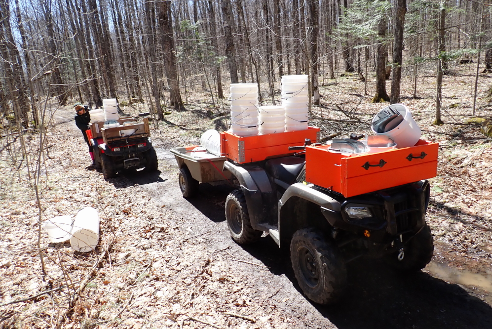 Buckets, lids, and spiles were gathered up and ATVed back to Knott Lane for cleaning. It took three trips to empty the woods.