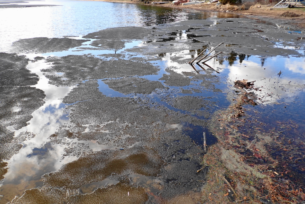 The sun eventually came out. Ice chunks broke off the main sheet and piled up on the north end.