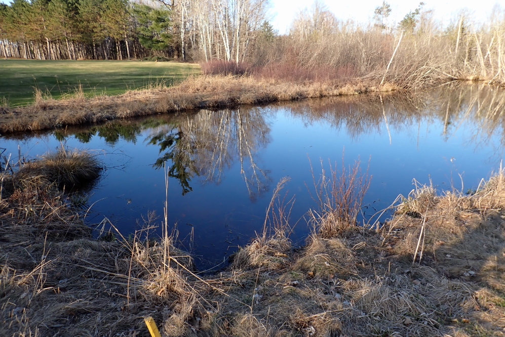 The old water hazards are all very full.