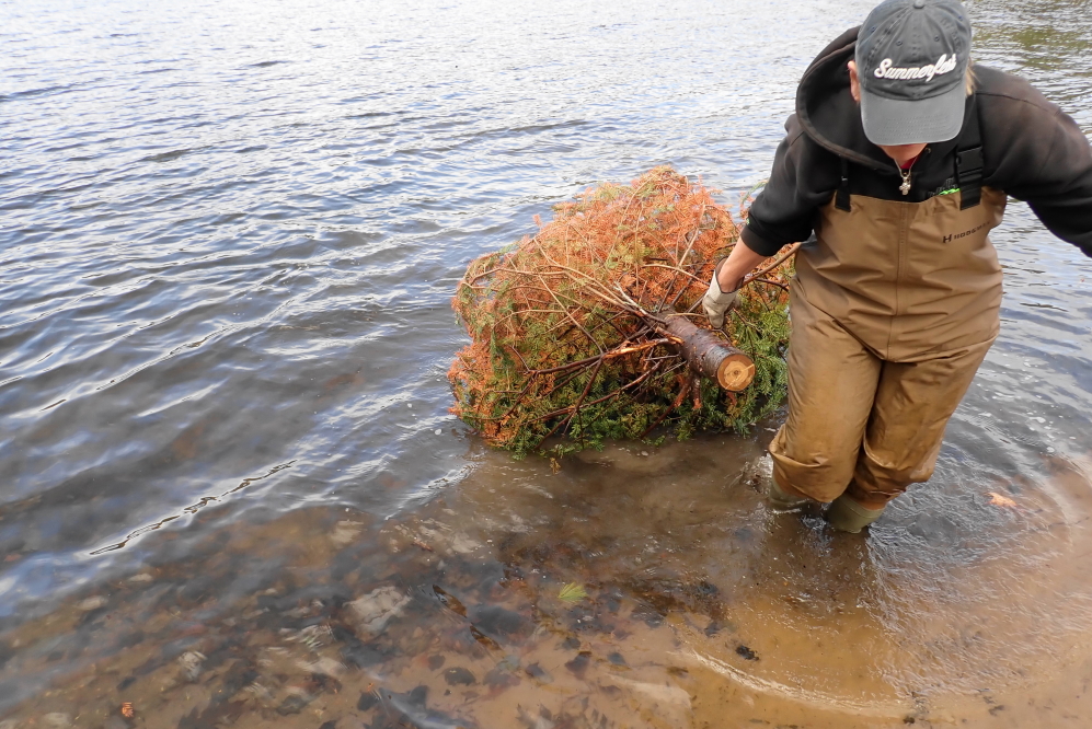 Picking Great Ice Storm and holiday refugees out of the lake is becoming a springtime thing. Again, campfires this year will not go hungry.