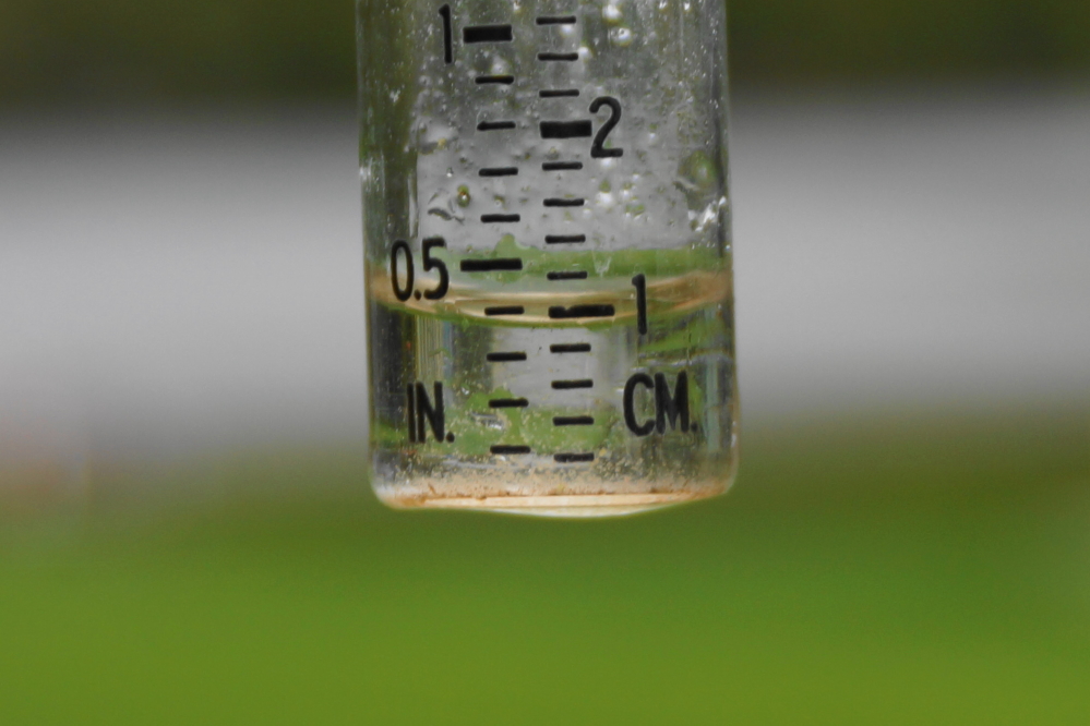 Along with the cold, the lake got some rain last week. The almost half an inch will hold the lake level at near <a href='/LakeLevel/LL2.html' class ='defaultlink2' target='_blank'>21 inches above the nail</a>.