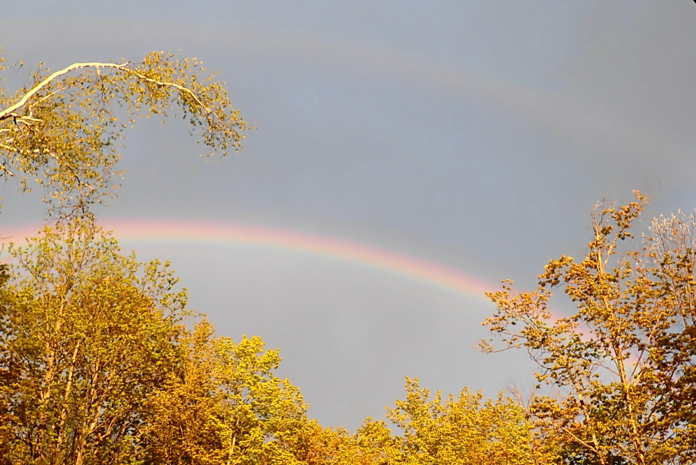 On the weekend, the cold sunlight and rain hung one of the best/first rainbows of the year in the eastern sky.
