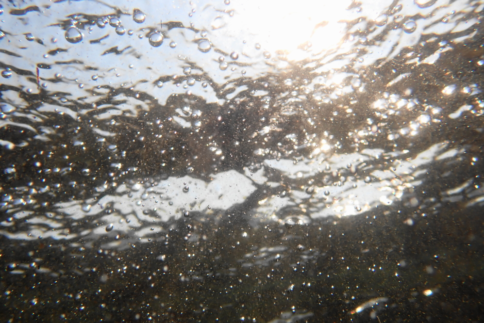 The lake water is super clear with just a pinch of tree pollen.